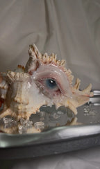 Teardrops Like Pearl - Dark Fantasy Handmade Conch - Awhisker