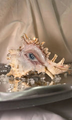 Teardrops Like Pearl - Dark Fantasy Handmade Conch - Awhisker