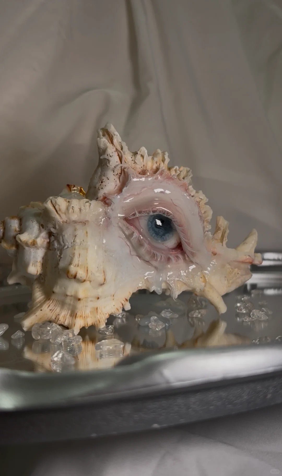 Teardrops Like Pearl - Dark Fantasy Handmade Conch - Awhisker