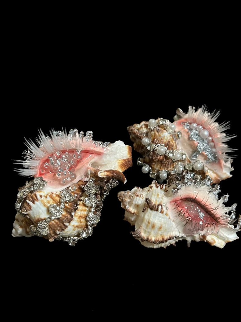 Siren's Eye - Handcrafted Natural Shell Decor - Awhisker