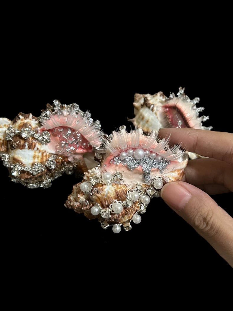 Siren's Eye - Handcrafted Natural Shell Decor - Awhisker