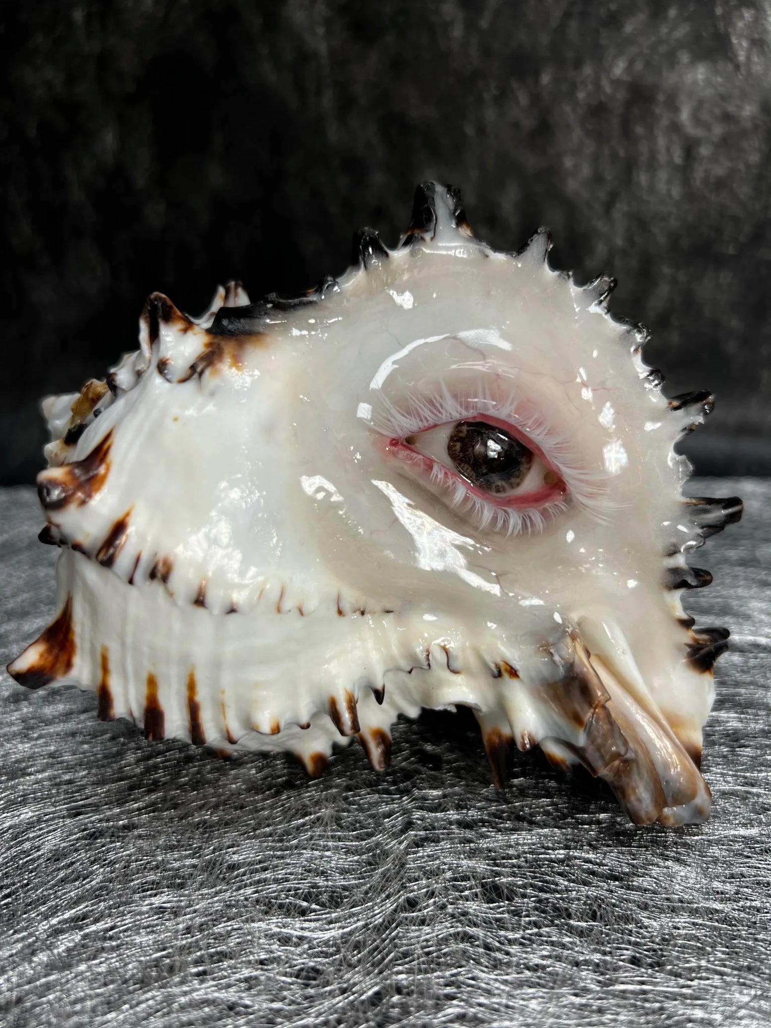 The Weeping Conch – Handmade Dark Art Candle Holder - Awhisker