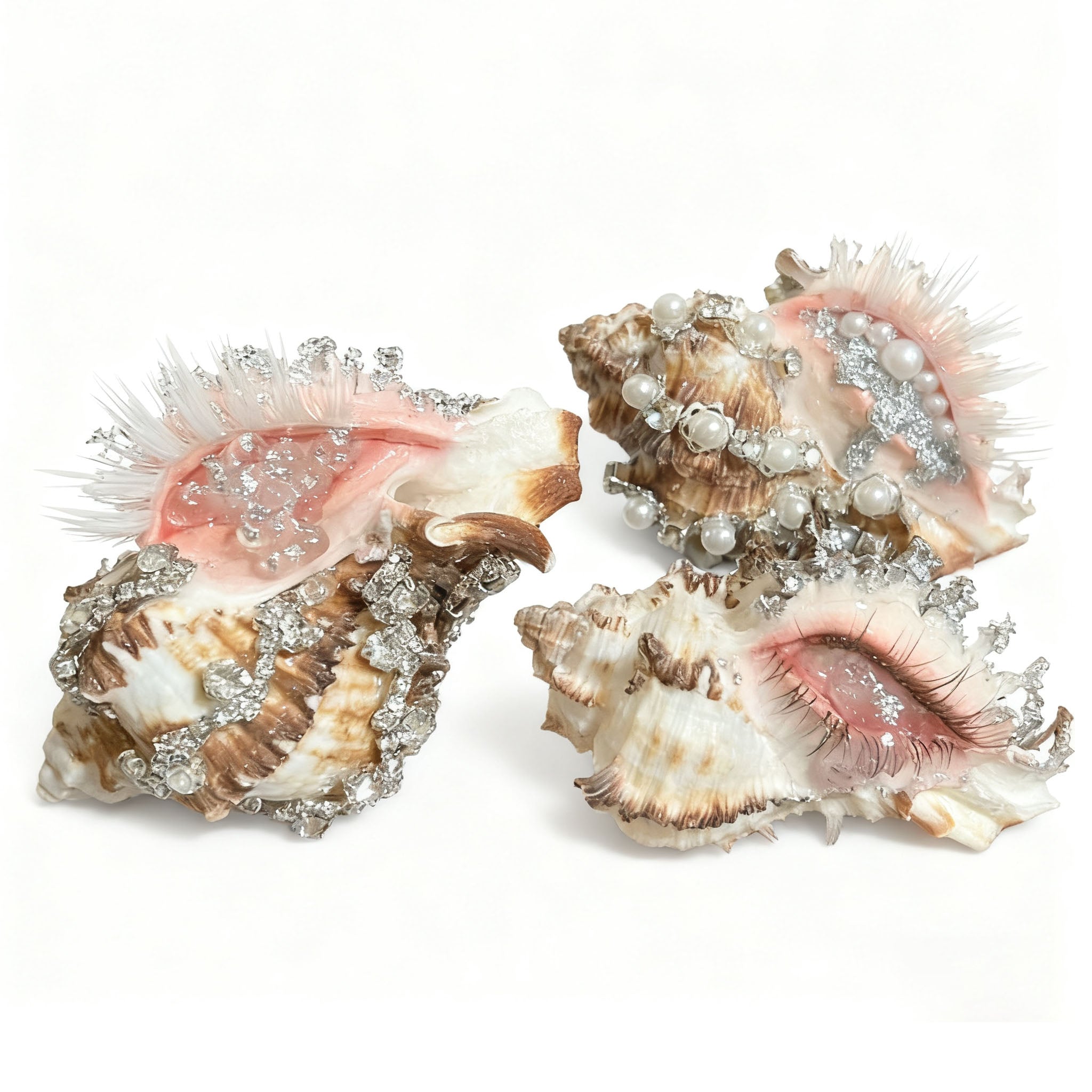 Siren's Eye - Handcrafted Natural Shell Decor - Awhisker