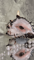 Hand-held conch shell candle holder showing scale, resin eye detail, and striped shell surface