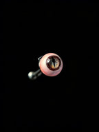 Staring Into The Abyss - Handmade Eyeball Earrings (One Pair) - Awhisker