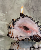Close-up view of sculpted clay eye detail on conch shell surface