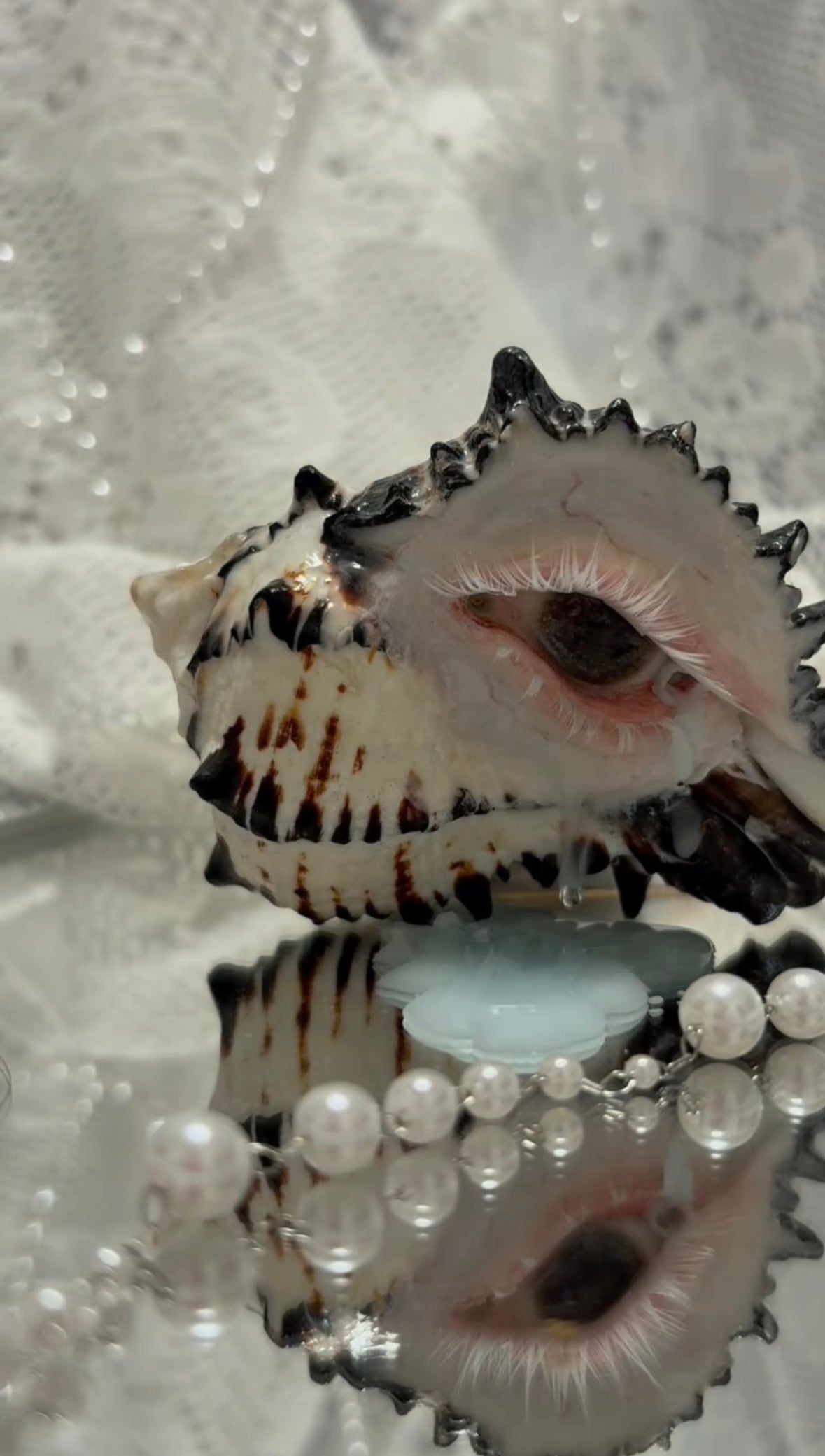 The Weeping Conch – Handmade Dark Art Candle Holder - Awhisker