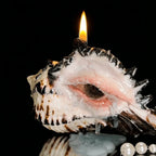 The Weeping Conch — Sculpted Conch Shell Candle Holder