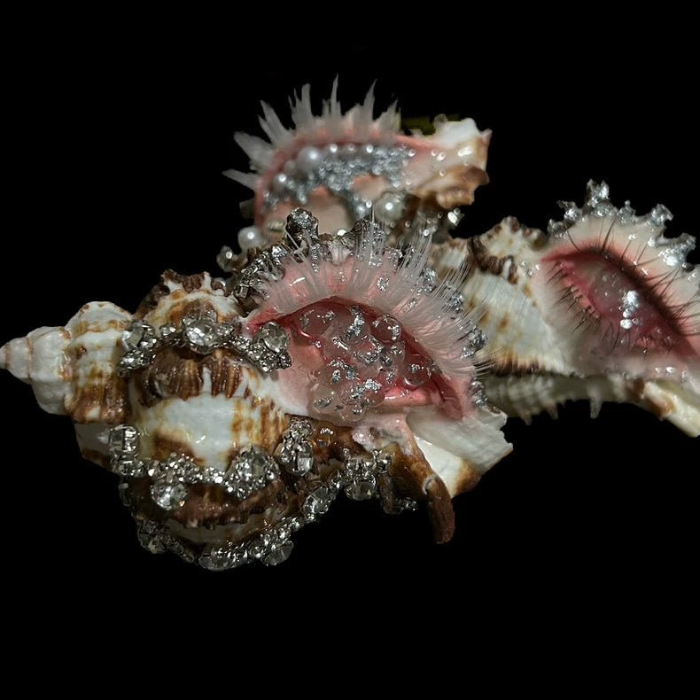 Siren's Eye - Handcrafted Natural Shell Decor - Awhisker