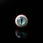 Staring Into The Abyss - Handmade Eyeball Earrings (One Pair) - Awhisker