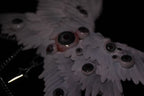 Talisman ceramic angel wing chain relic rendered near-silhouette — rim light traces the outer feather edge against total black, the wing form reduced to its essential geometry. Glass eyeball nodes catch single points of light. The rest is void.