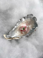 Oyster Iris — Artisan-Crafted Oyster Shell Eye Sculpture, Oceanic Dark Art - Awhisker