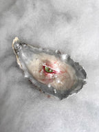 Oyster Iris — Artisan-Crafted Oyster Shell Eye Sculpture, Oceanic Dark Art - Awhisker