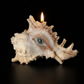 Teardrops Like Pearl — Conch Shell Candle Holder with Sculpted Weeping Eye - Awhisker