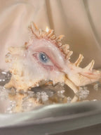 Teardrops Like Pearl — Conch Shell Candle Holder with Sculpted Weeping Eye - Awhisker