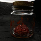 The Anatomist’s Cabinet — Faux Wet Specimen Jar Collection - Awhisker