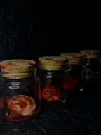 The Anatomist’s Cabinet — Faux Wet Specimen Jar Collection - Awhisker