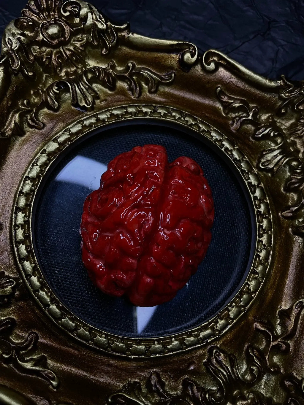 The Cerebral Reliquary — Faux Wet Specimen Brain Sculpture - Awhisker