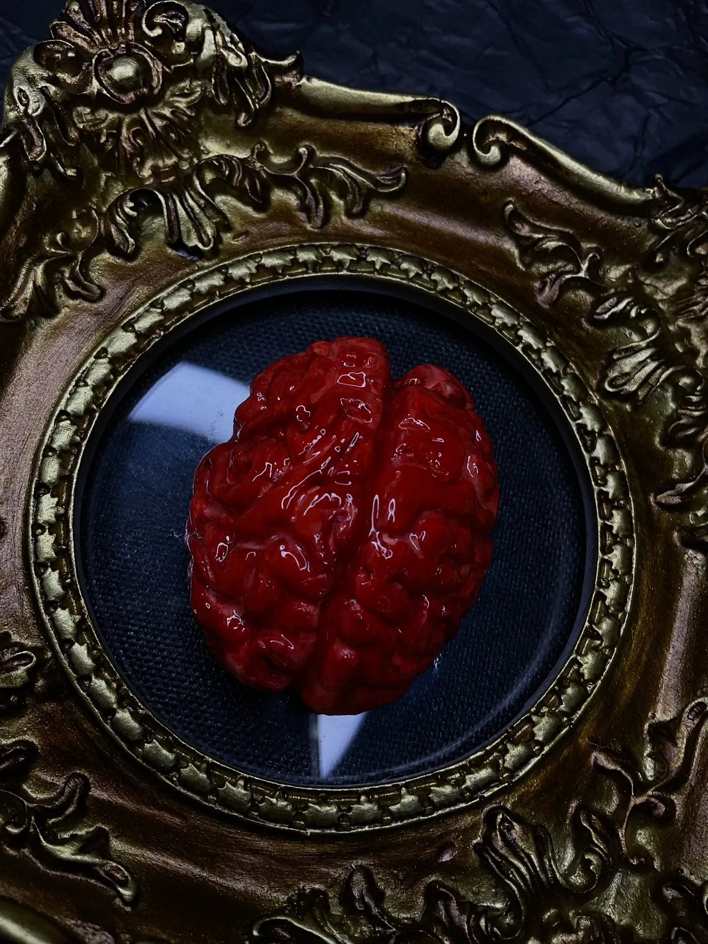 The Cerebral Reliquary — Faux Wet Specimen Brain Sculpture - Awhisker