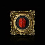 The Cerebral Reliquary — Faux Wet Specimen Brain Sculpture - Awhisker