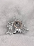 The Conch Eye — Moonwhite Silver Shell Ocular Relic - Awhisker