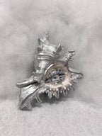 The Conch Eye — Moonwhite Silver Shell Ocular Relic - Awhisker