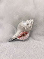 The Conch Eye — Flight-Form Shell Ocular Relic - Awhisker