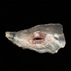 The Lover's Eye — Oyster Shell Ocular Sculpture - Awhisker