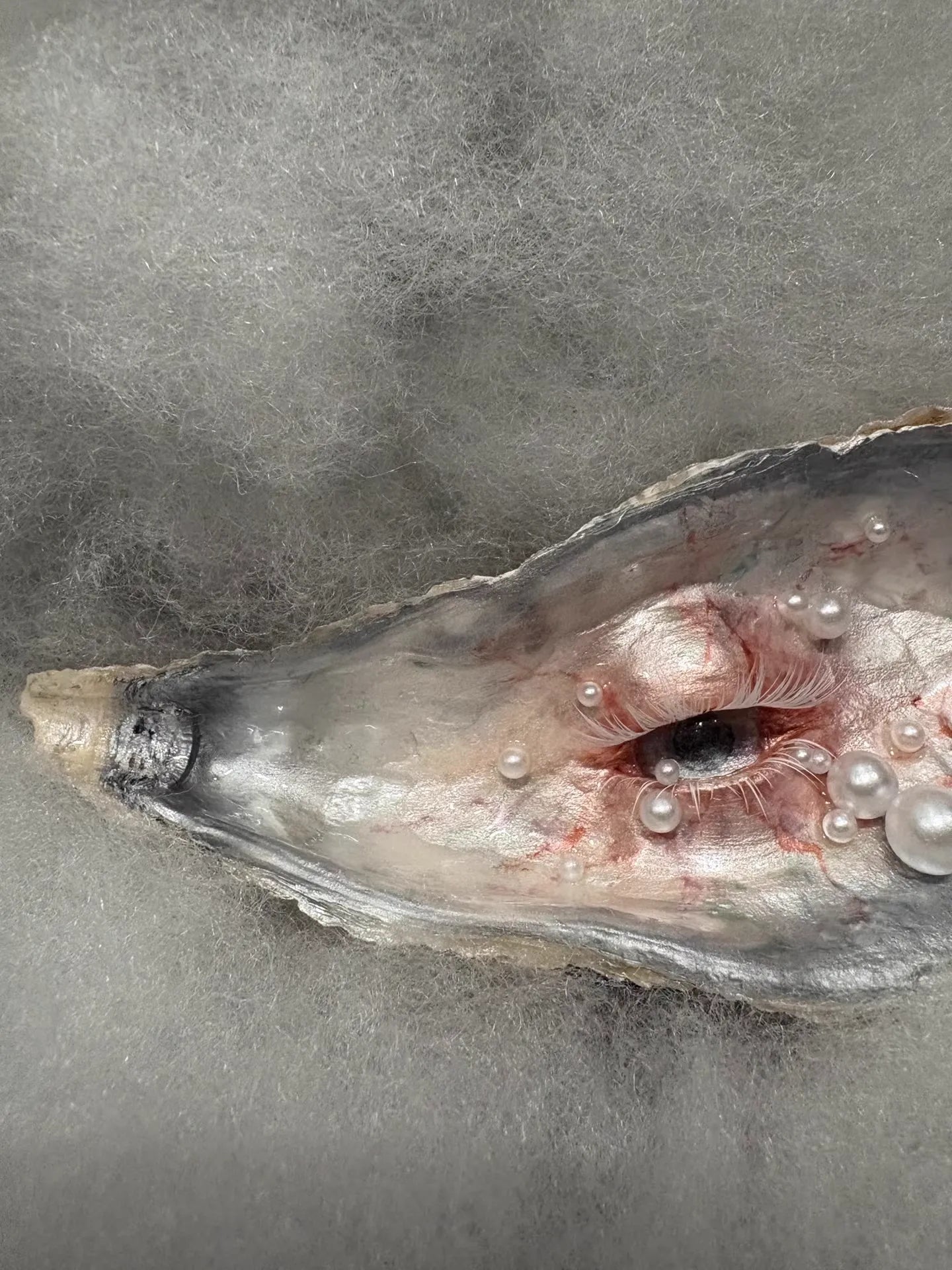 The Lover's Eye — Oyster Shell Ocular Sculpture - Awhisker
