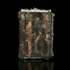 The Necronomicon Grimoire — Cthulhu Burned-Page Eldritch Relic - Awhisker