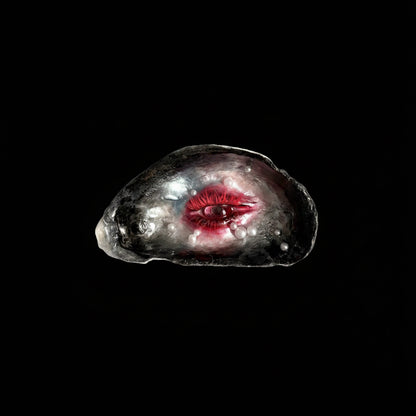 The Oyster Eye — Crimson Gaze Shell Relic, Scarlet Night - Awhisker