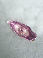 The Oyster Eye — Violet Dream Shell Ocular Relic - Awhisker