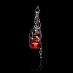 Twin Specimen — Dual Eyeball Capsule Pendant Necklace - Awhisker