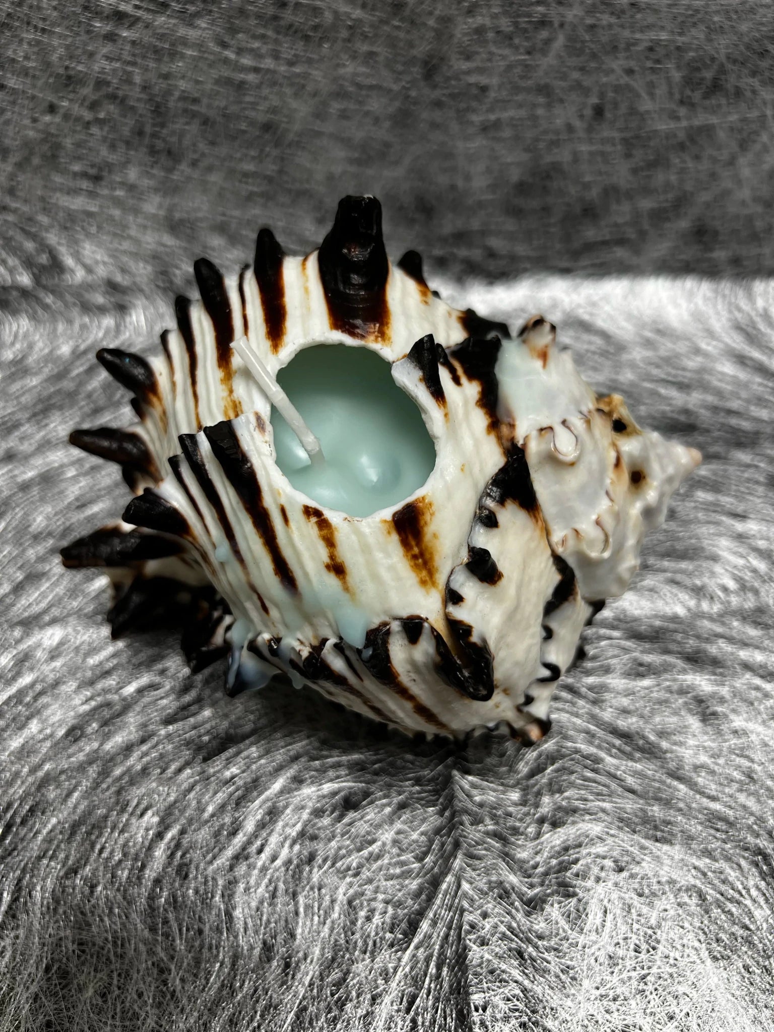 The Weeping Conch – Handmade Dark Art Candle Holder - Awhisker
