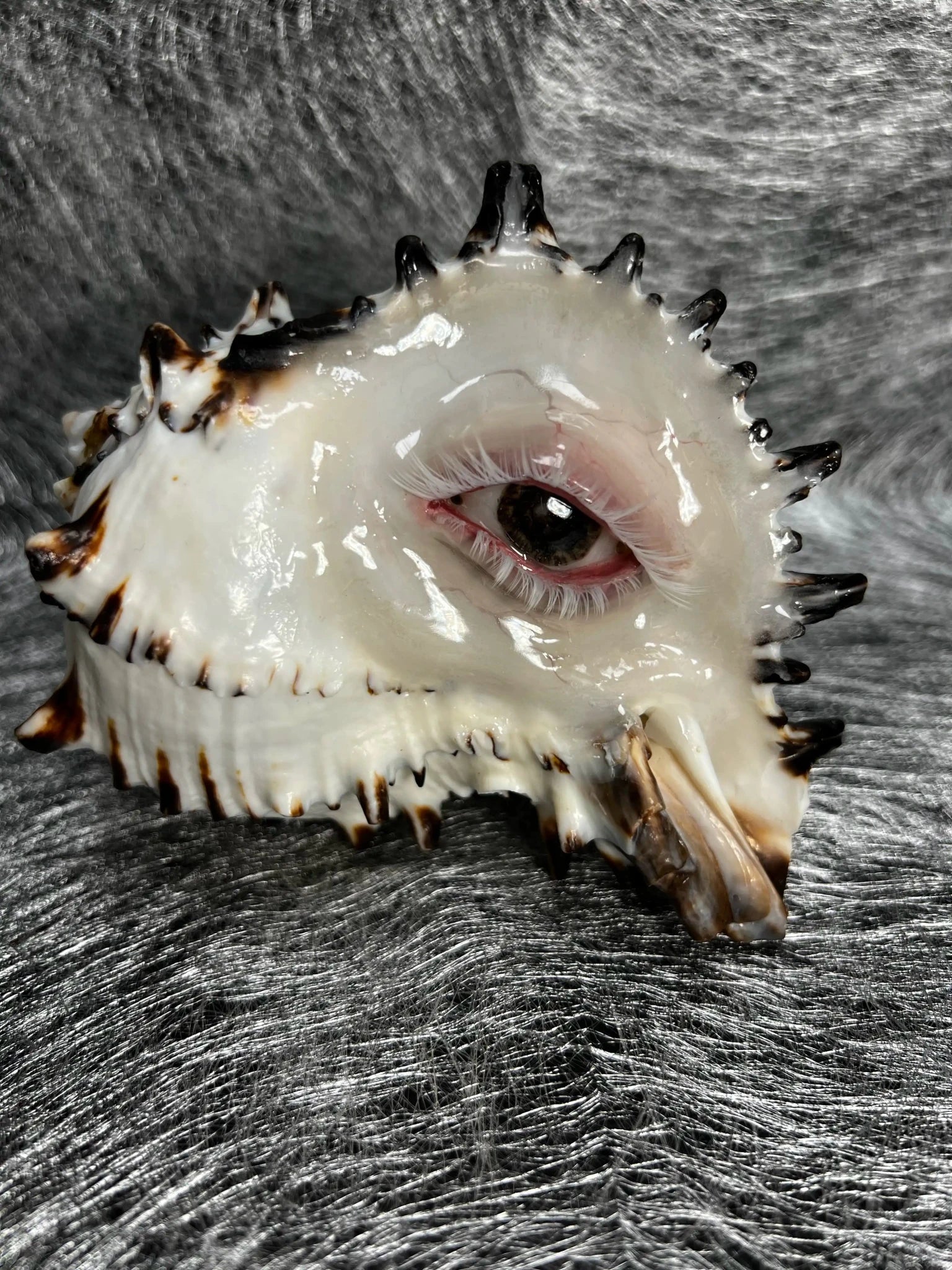 The Weeping Conch – Handmade Dark Art Candle Holder - Awhisker