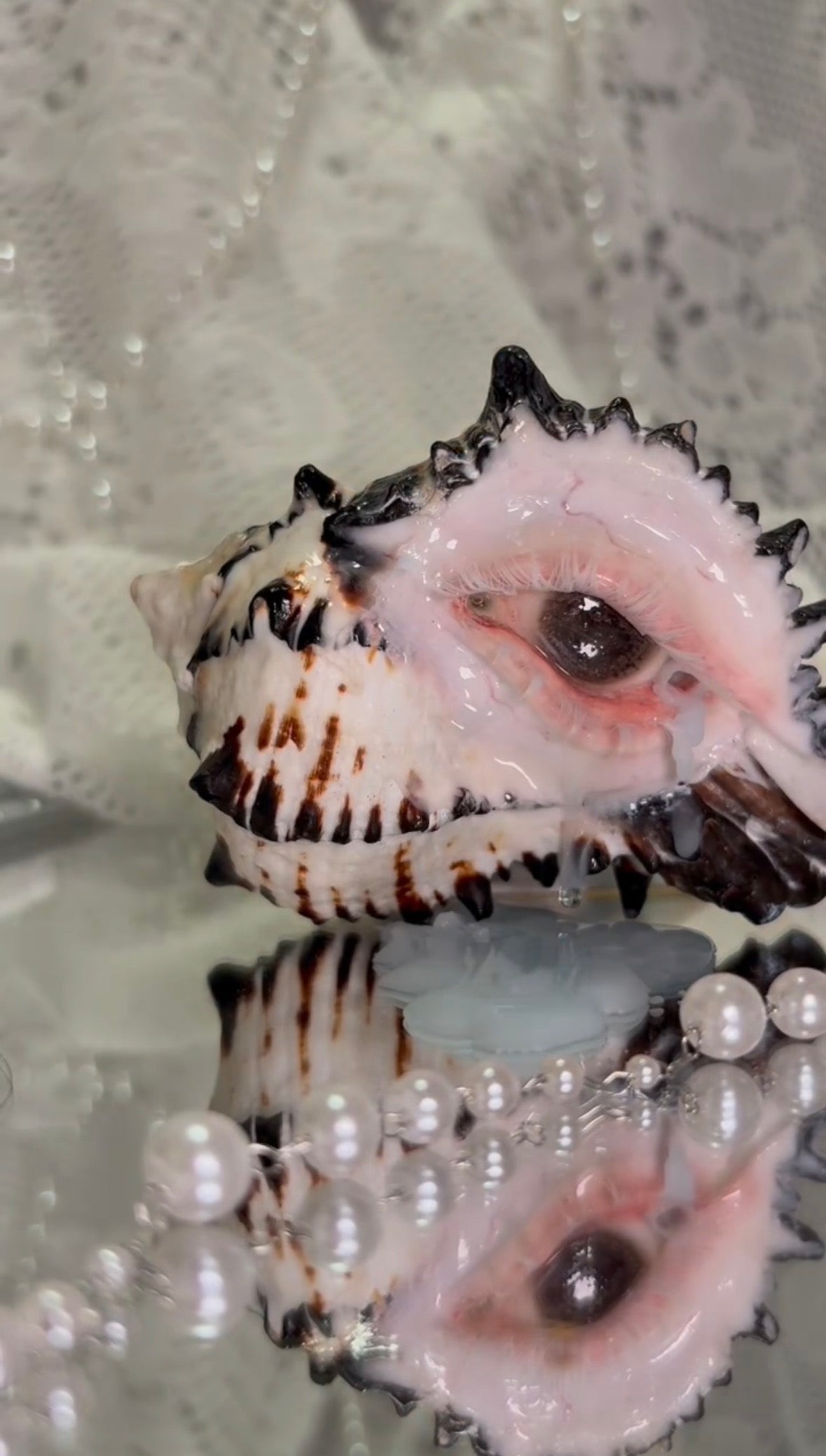 The Weeping Conch – Handmade Dark Art Candle Holder - Awhisker