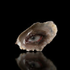 A hand holding an oyster shell with a blue iris, pink fleshy eyelids, delicate white eyelashes, white pearl tears, and a silver teardrop chain against a light grey background