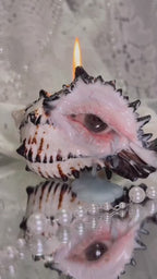The Weeping Conch — Sculpted Conch Shell Candle Holder