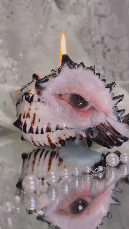 The Weeping Conch — Sculpted Conch Shell Candle Holder