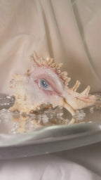 Teardrops Like Pearl — Conch Shell Candle Holder with Sculpted Weeping Eye